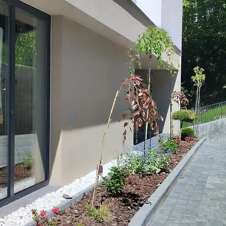 Cicha - Bezplatny Parking